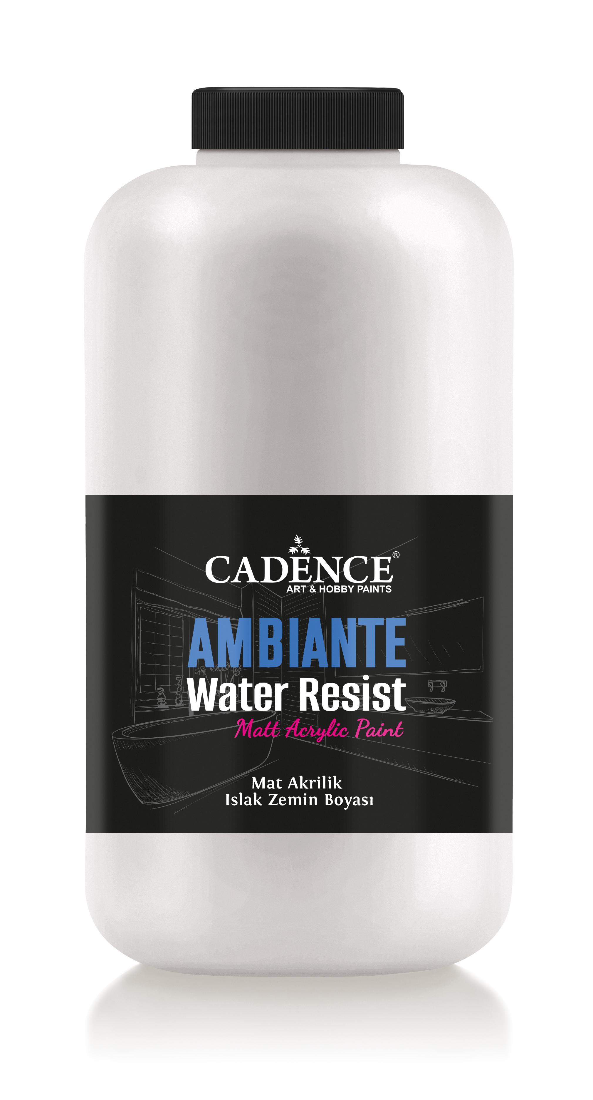 AMBIENTE SUYA DAY. AKR. BOYA AW-06 DANTEL 2000ML + KATALİZÖR 80GR