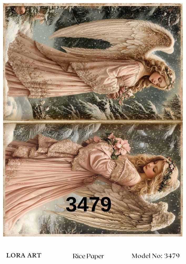3479