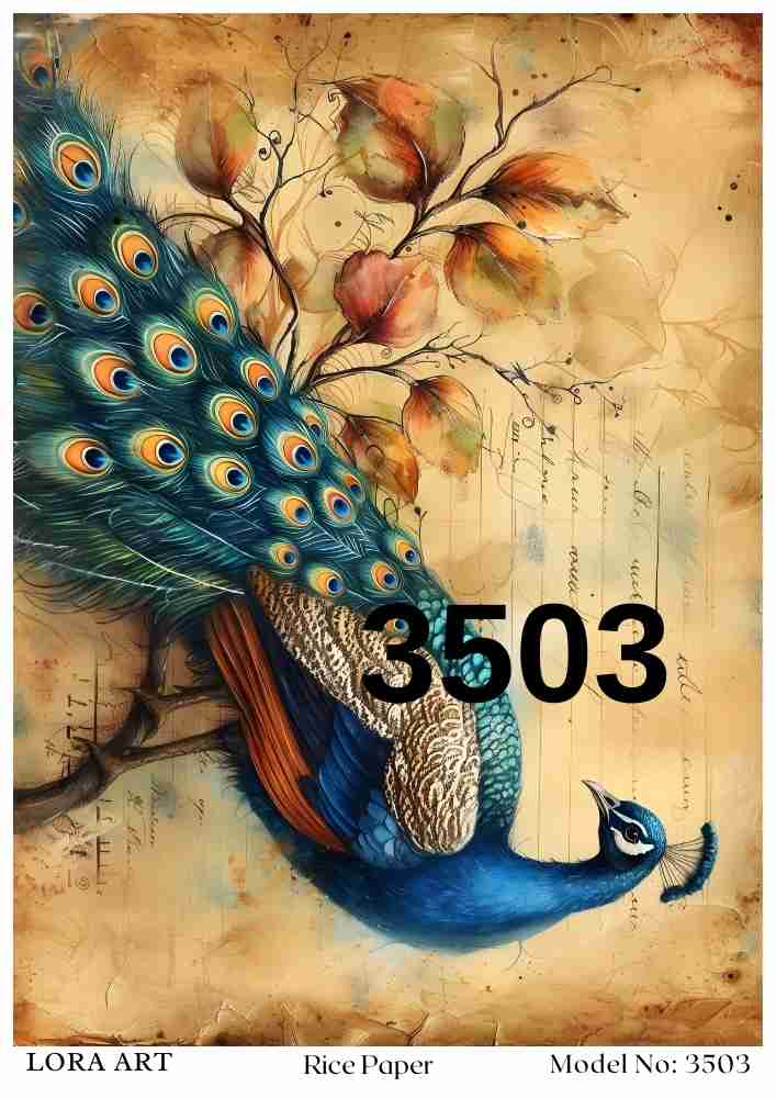 3503