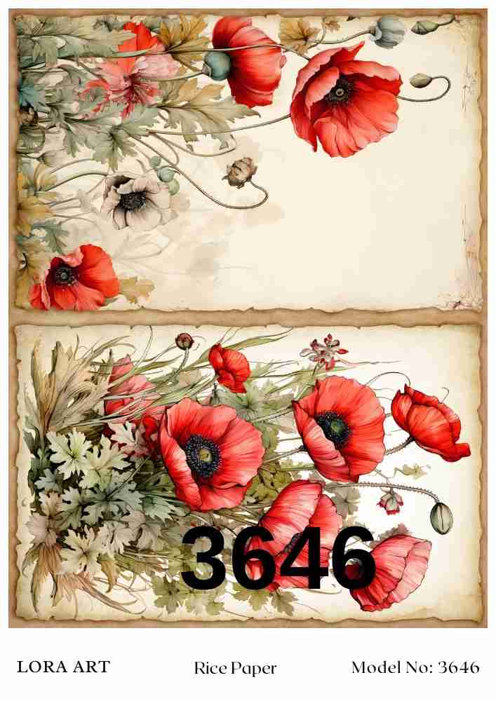 3646