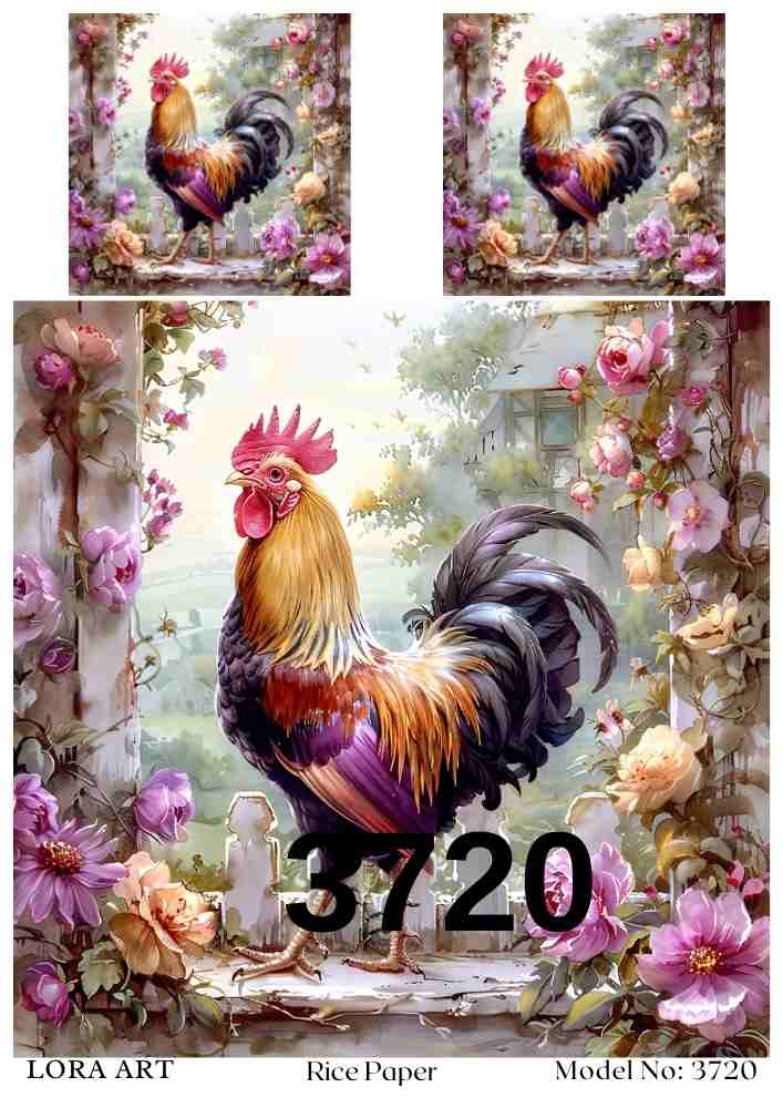 3720