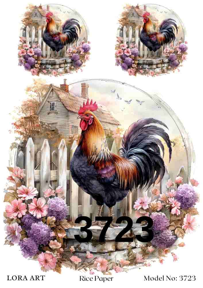 3723