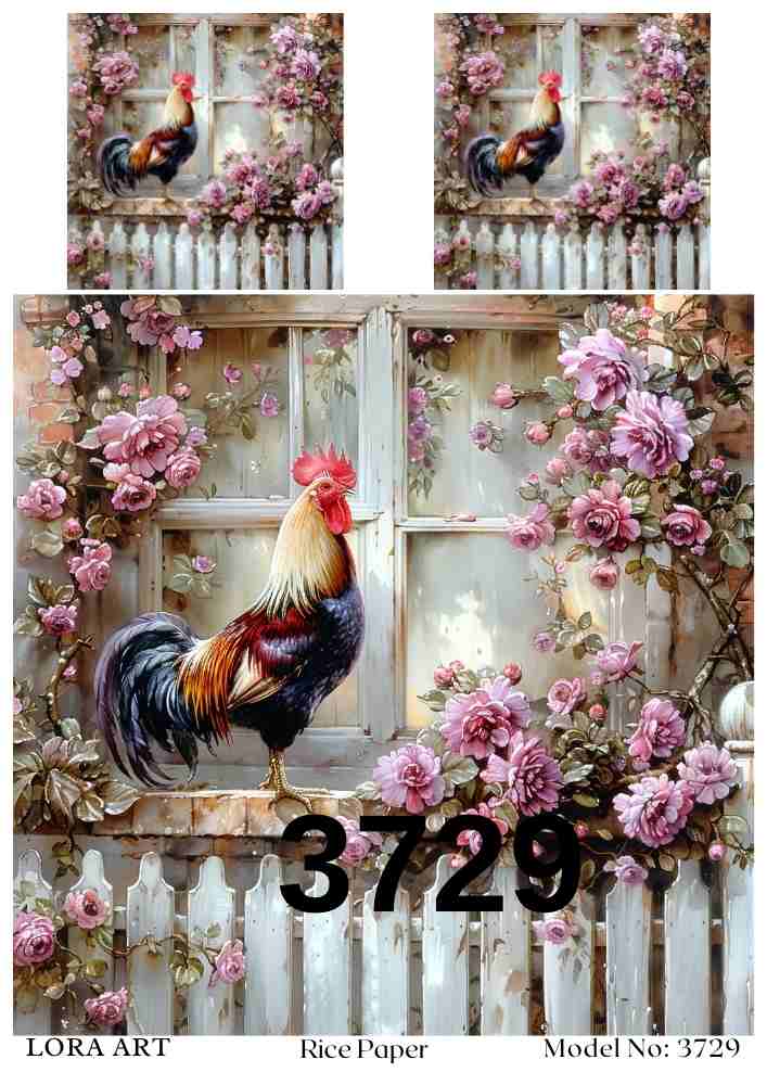3729