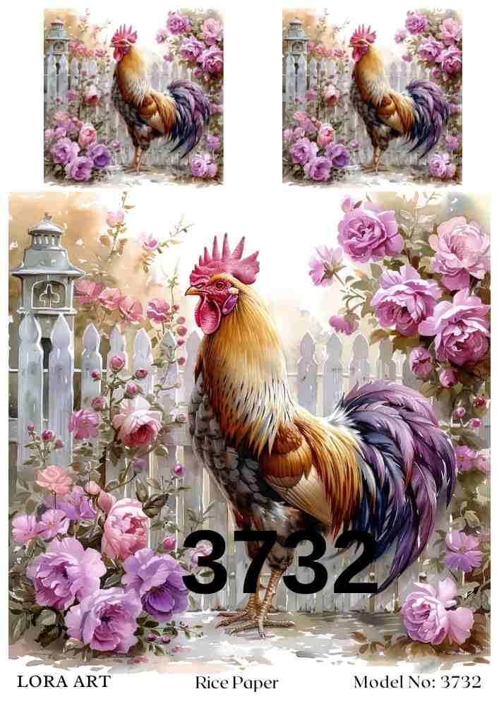 3732