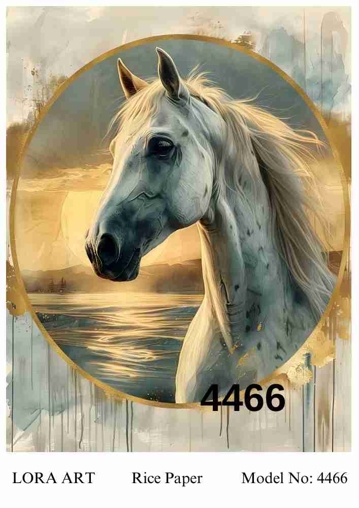 4466