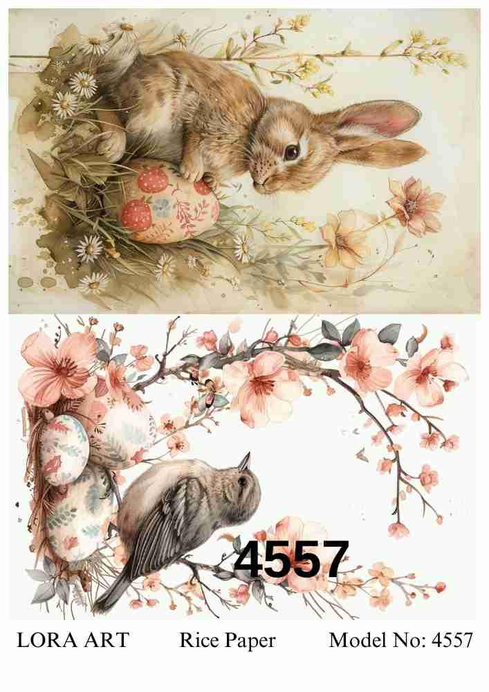 4557