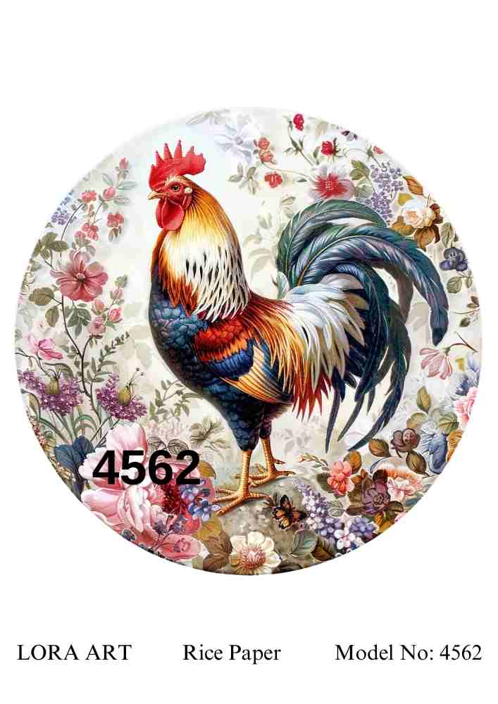 4562