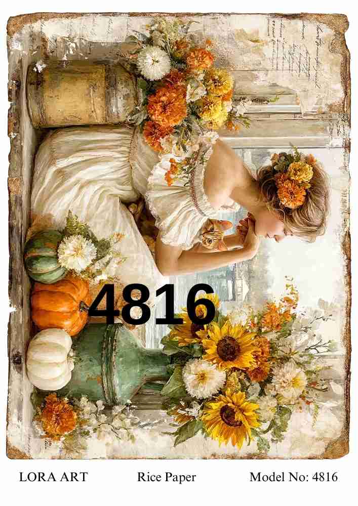 4816