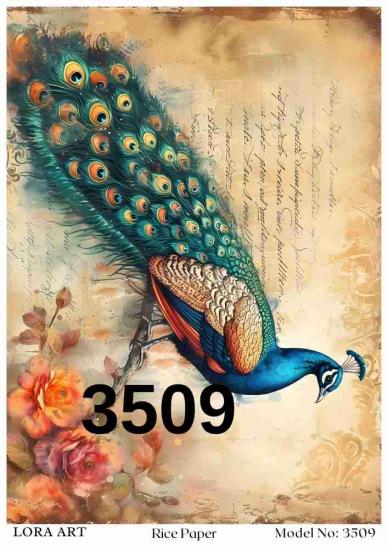 3509
