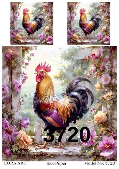 3720