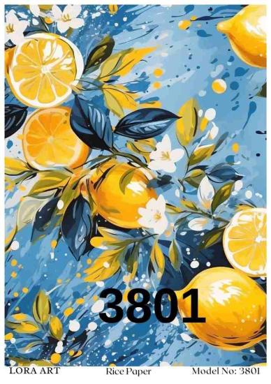 3801