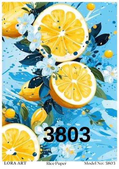 3803