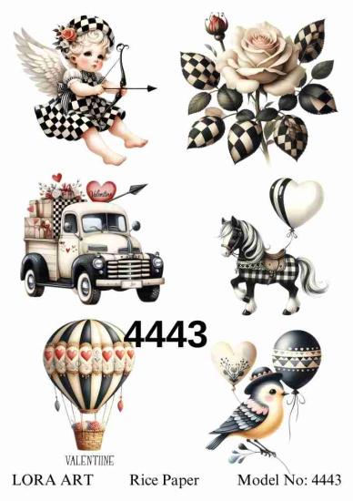 4443