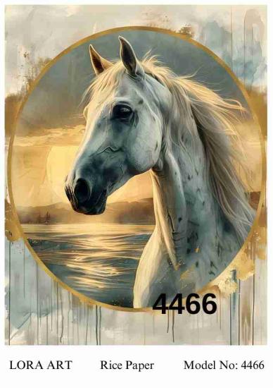 4466