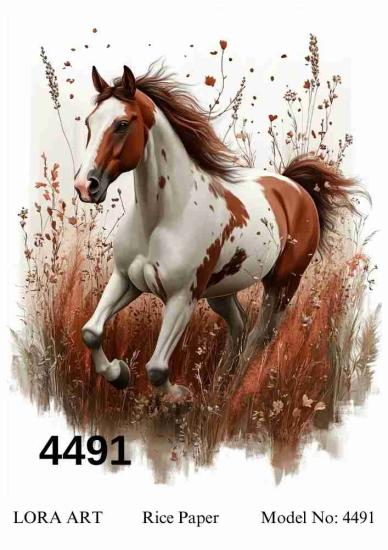 4491