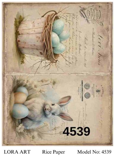 4539