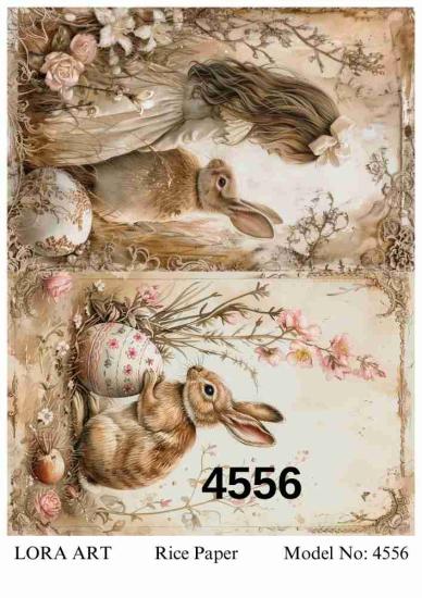 4556