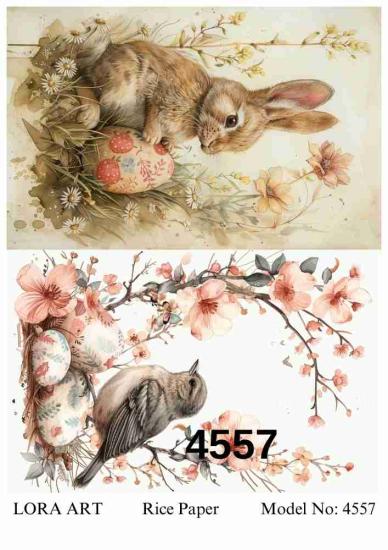 4557