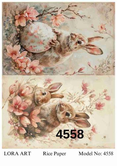 4558