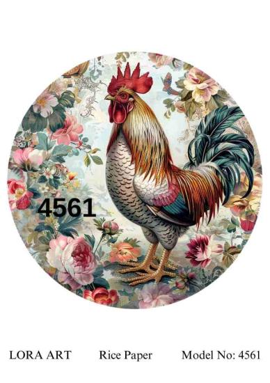4561