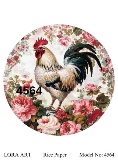 4564