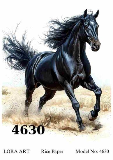4630