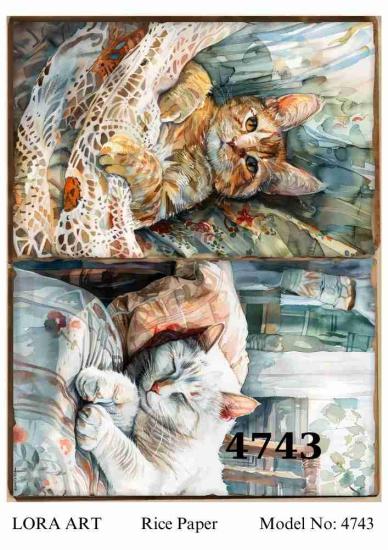 4743