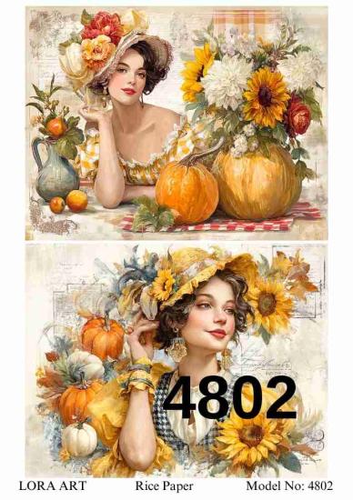 4802
