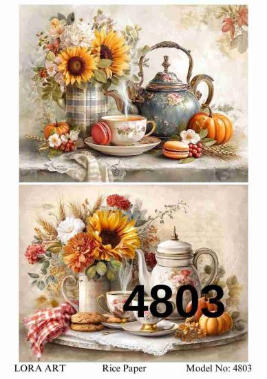 4803