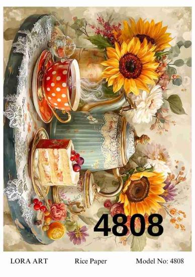 4808