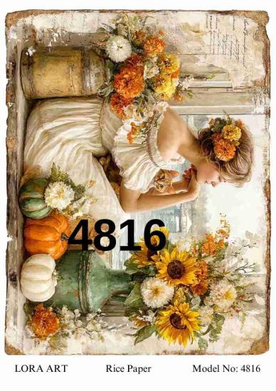 4816