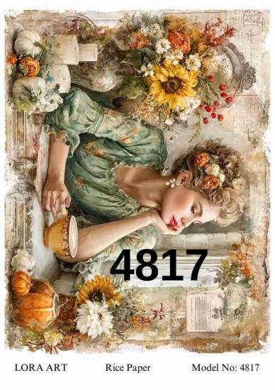 4817