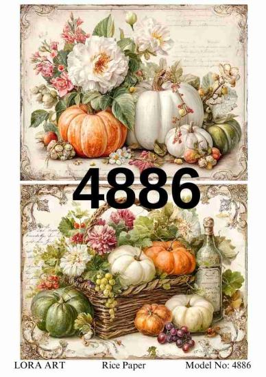 4886