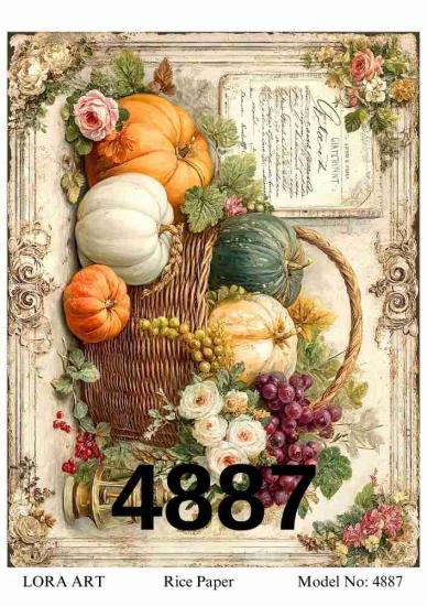 4887