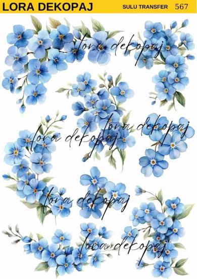 s567